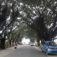 阿庆嫂海鲜舫 User Photo