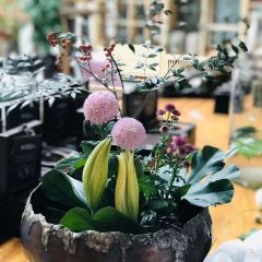 雪堂月·餐茶画香·主题餐厅(印象水街店) User Photo