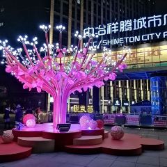 Xiaoyangshengjian (nanxiangzhongyexiangteng) 여행 사진