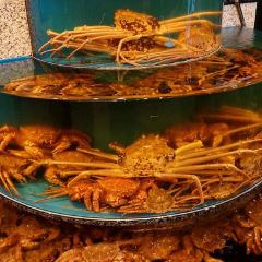 Kani Douraku Ginza Hachichōme User Photo