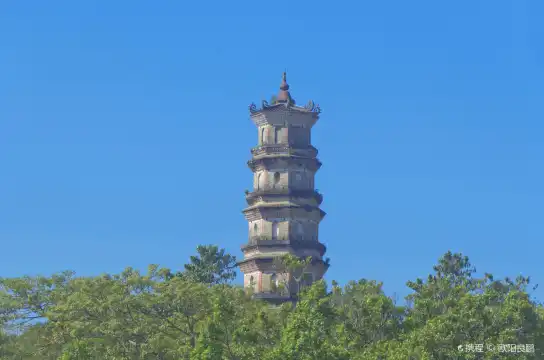 鄰近泗洲塔的酒店