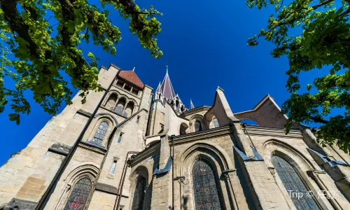 Lausanne Cathedral
