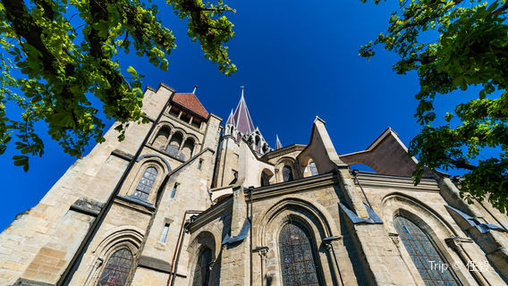 Cathédrale de Lausanne
