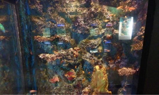 Phuket Aquarium