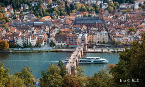 Old Bridge Heidelberg