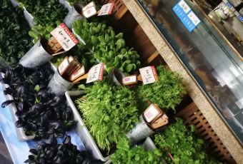 丽都民俗村·宴会厅(荣成店) User Photo