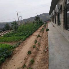 河畔人家 User Photo