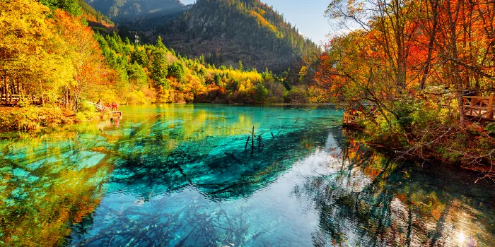 Jiuzhaigou National Park (Cửu Trại Câu) image 0