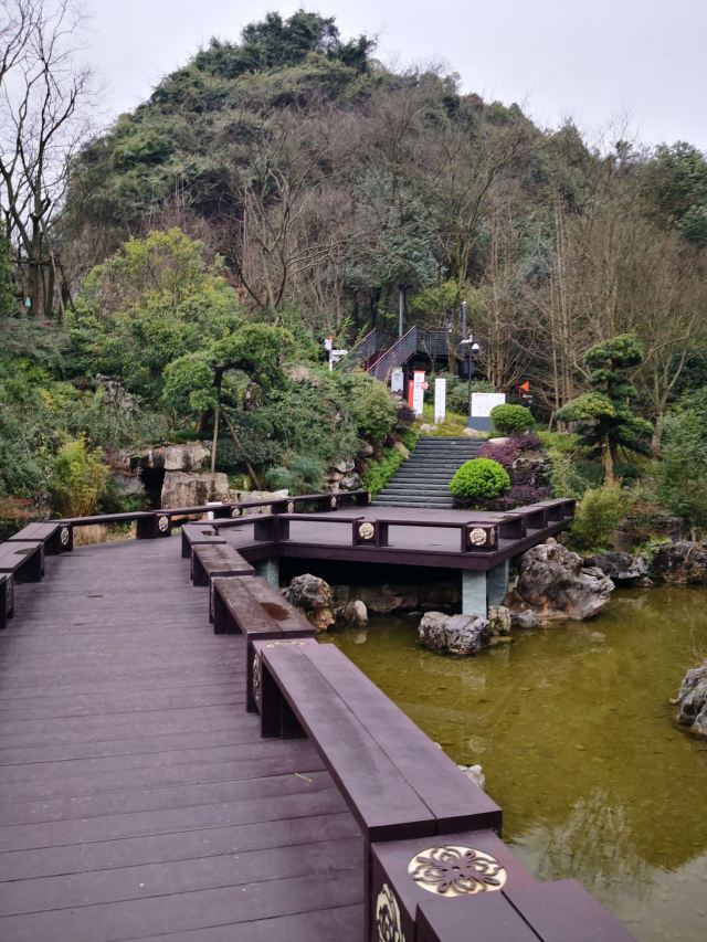 泉湖公園