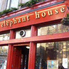 The Elephant House 여행 사진