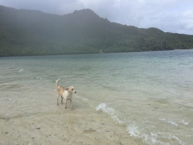 Snake Island