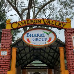 Cameron Valley Tea House 여행 사진