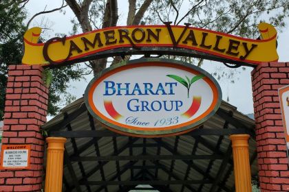 Cameron Valley Tea House