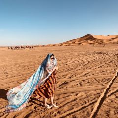 ドラア タフィラルト メルズーガの大砂丘 評判 案内 トリップドットコム