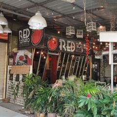 Star Banana Leaf User Photo