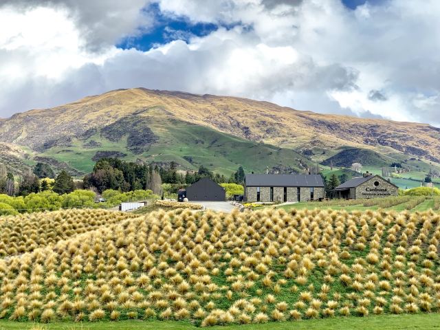 Cardrona Bra Fence