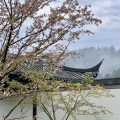 BAI YUN User Photo