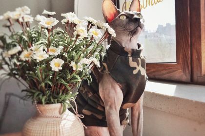 张小姐的咖啡馆