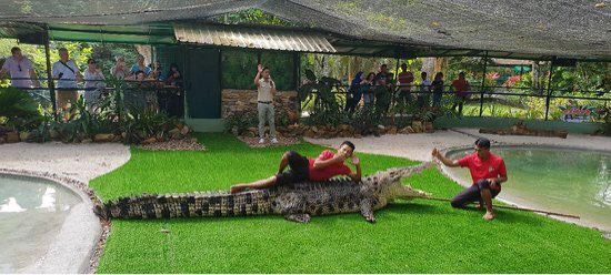 Crocodile Adventureland Langkawi