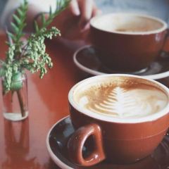 Lula Cafe User Photo