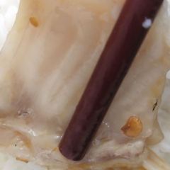 Dafengshou·cui Fish (jinjiangwanda) User Photo