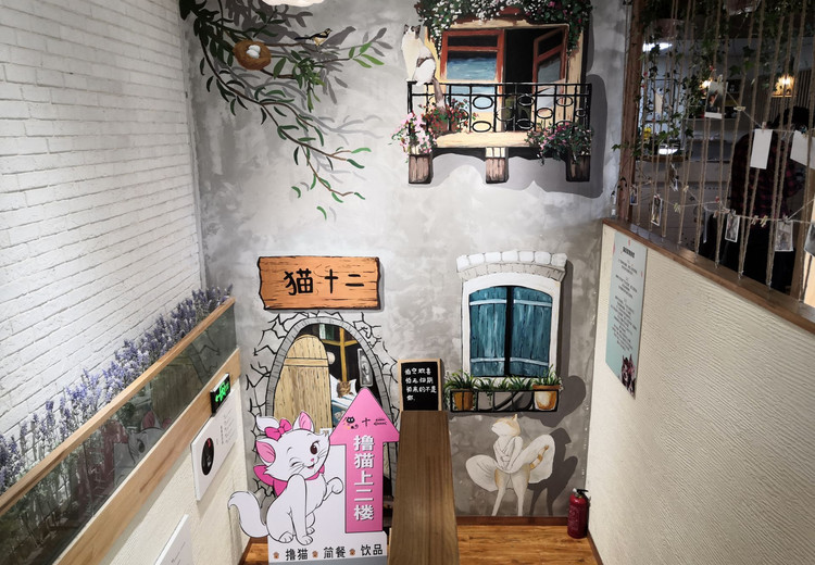 猫·十二猫咖(平江店) (Guanqian Street/Pingjiang Street, Suzhou