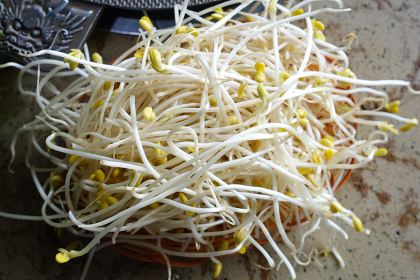 读书铺酸笋鸡创始店