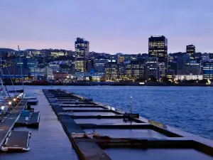 Attrazioni del Giro Notturno a Wellington: le opzioni più popolari