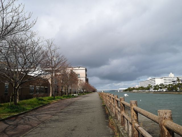 모모치 해변 공원