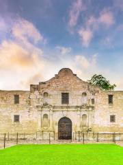 The Alamo