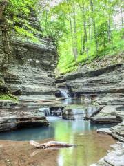 Buttermilk Falls State Park