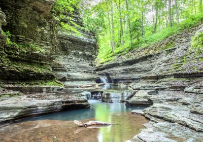 Buttermilk Falls State Park