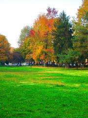 Parco Cavalieri di Vittorio Veneto "Piazza d'Armi"