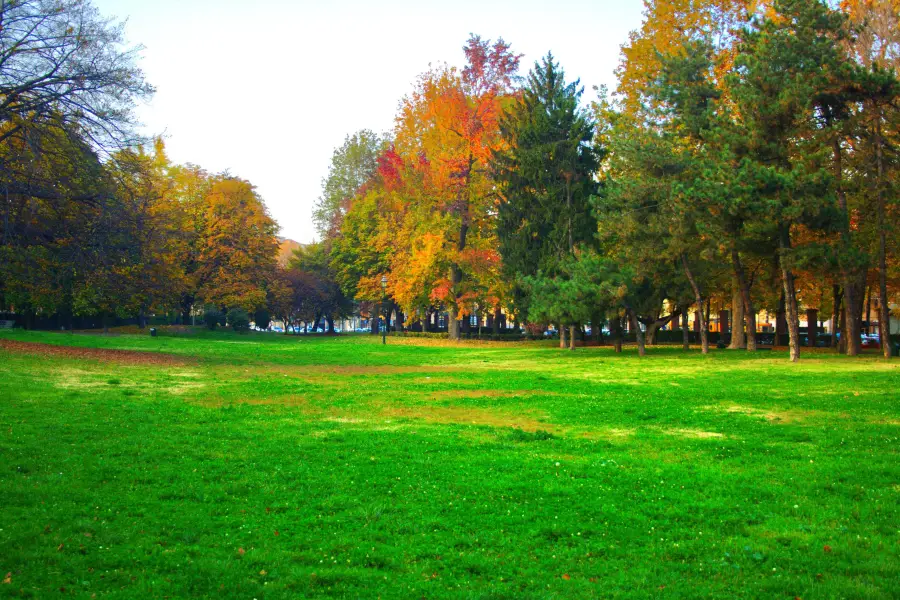 Parco Cavalieri di Vittorio Veneto