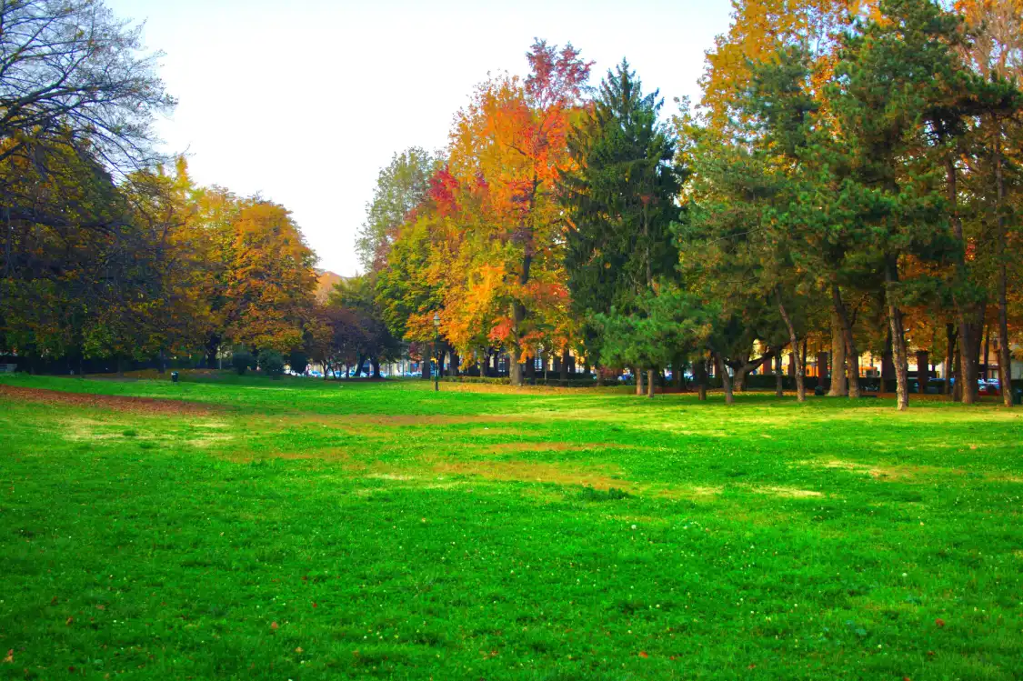 Hotel in zona Parco Cavalieri di Vittorio Veneto "Piazza d'Armi"