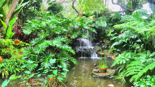 鄰近Orchid Garden & Koi Pond的酒店