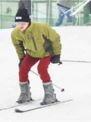 浮来青四季滑雪場