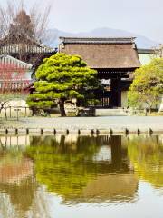 Umenomiya-taisha Shrine