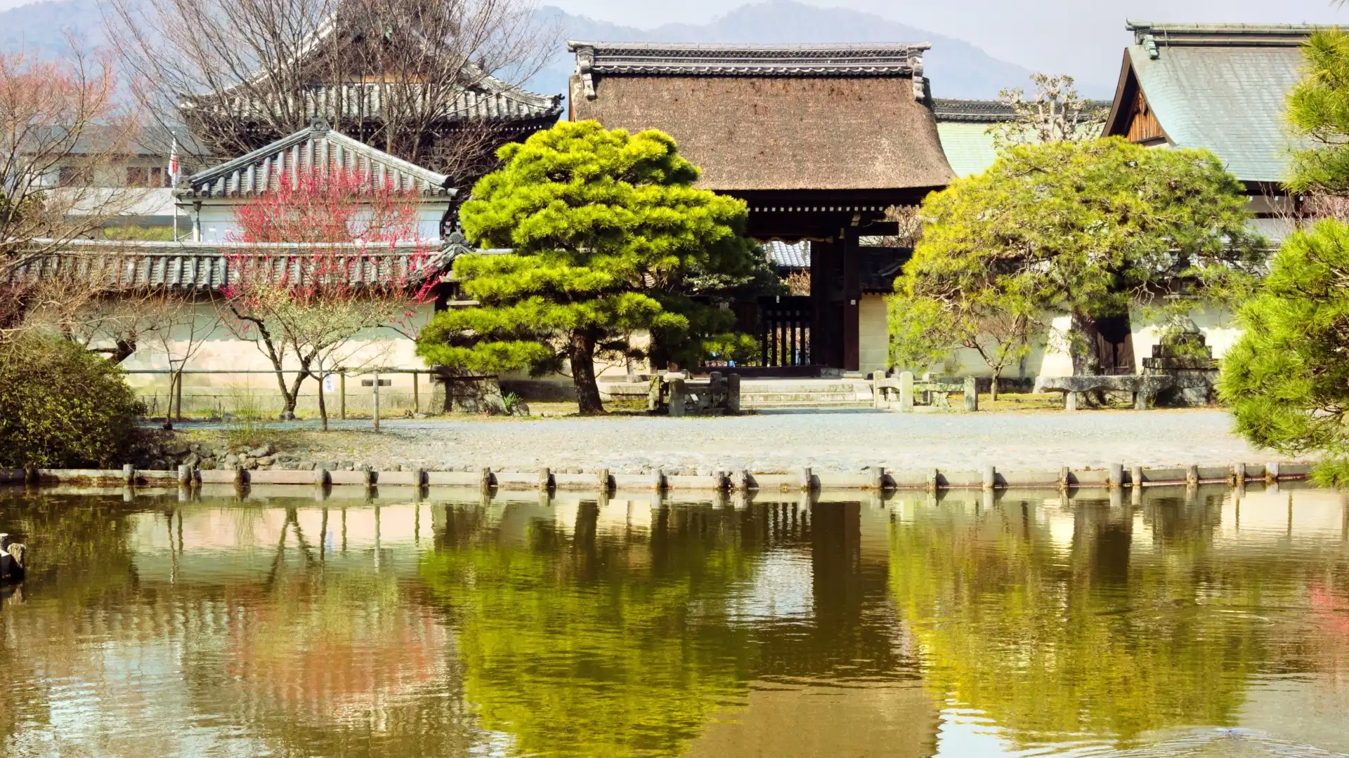 Hoteles cerca de Santuario Umenomiya Taisha