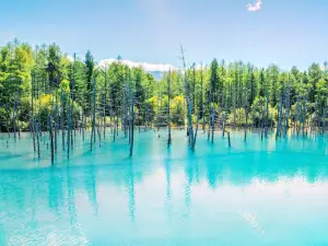 Shirogane Blue Pond (Aoiike)