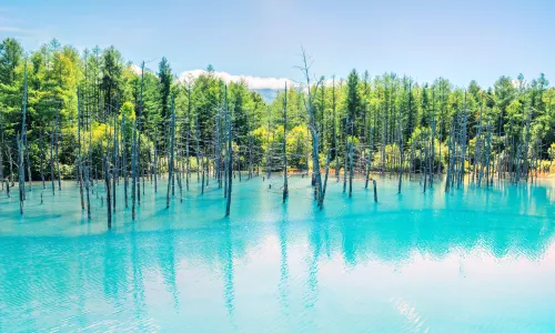 青池