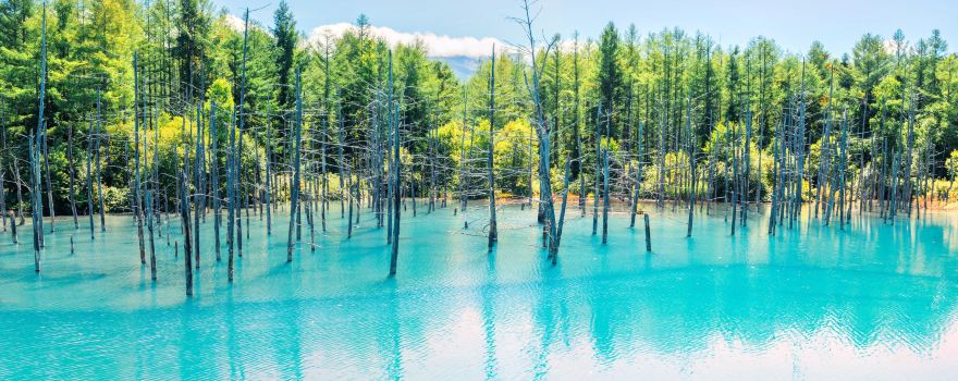 Shirogane Blue Pond (Aoiike)