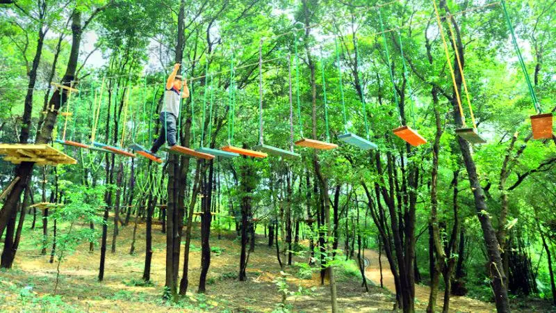Panlonggu Feishu Menghuan Forest