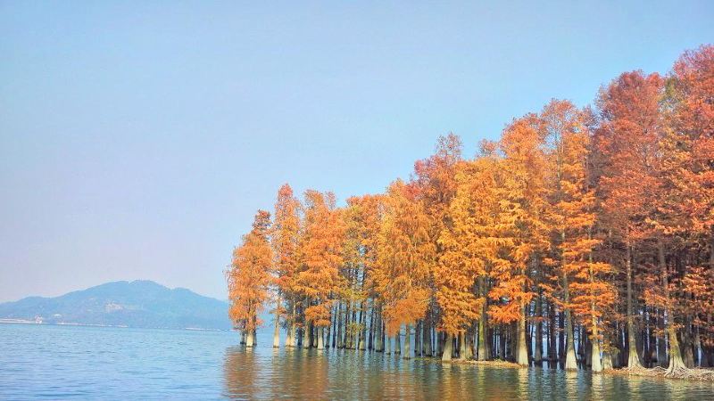 Siminghushuishan Wetland