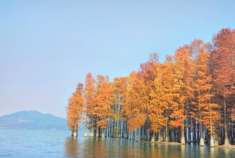 Siminghushuishan Wetland