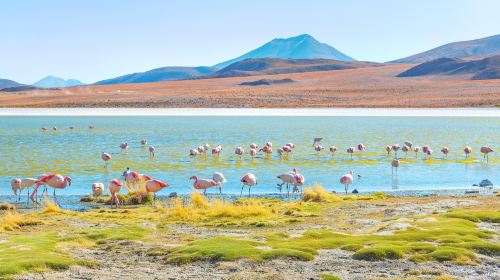 Laguna Hedionda