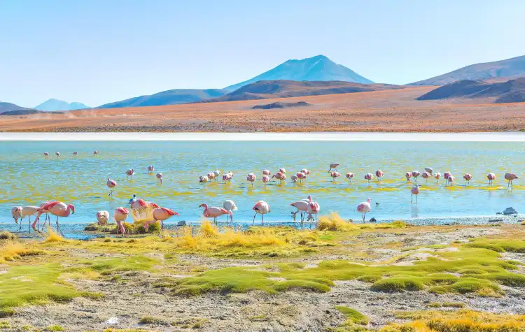 Hotels near Uyuni Salt Flat
