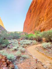 Walpa Gorge