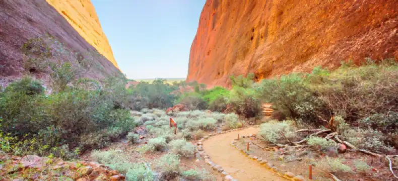 ピーターマンのホテル