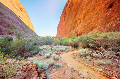 Walpa Gorge